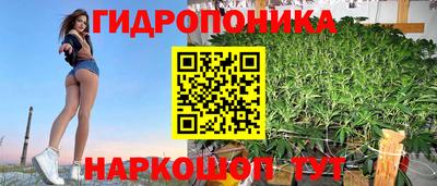 молекула духа Краснознаменск