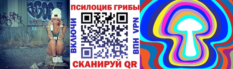где продают   Рубцовск  Псилоцибиновые грибы Psilocybine cubensis 