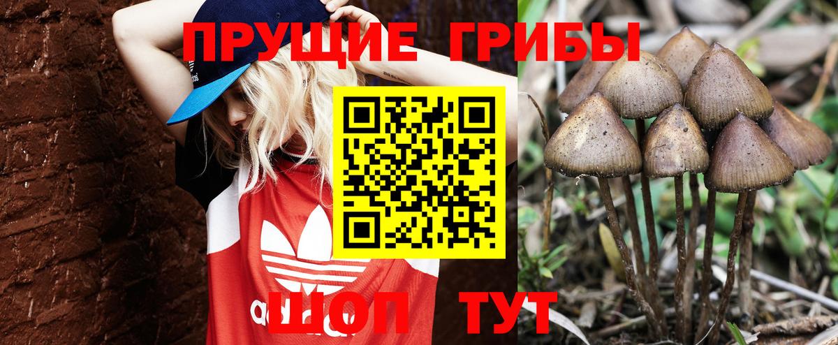 Рубцовск  Псилоцибиновые грибы Magic Shrooms  Галлюциногенные грибы Psilocybine cubensis  Вход с VPN 