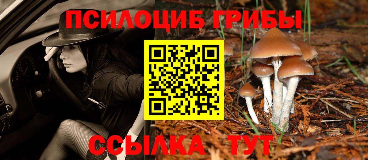 Галлюциногенные грибы Magic Shrooms Рубцовск